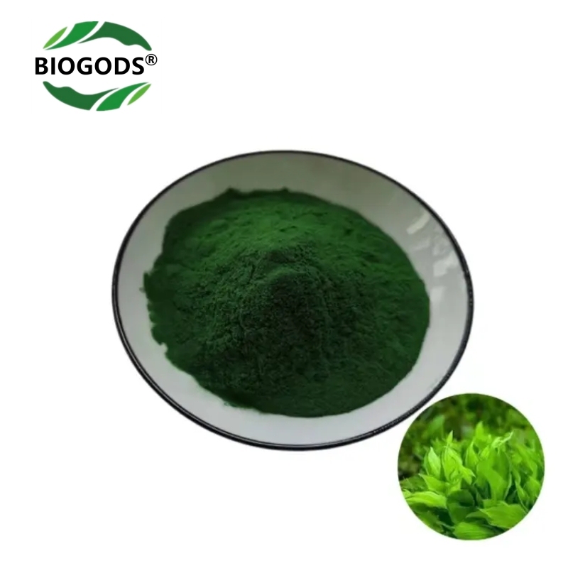 Organic Spirulina Extract Powder Natural Super Greens Supplements for Immune Support, Gut Health & Boost Energy with Chlorophyll