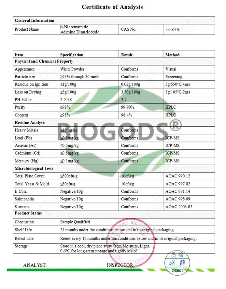 100% β-NAD+ Booster Powder Food Grade Supplement for Anti Aging and Cell Regeneration,Supports Cellular Energy, Brain, Muscle ,Longevity Support | Nicotinamide Adenine Dinucleotide