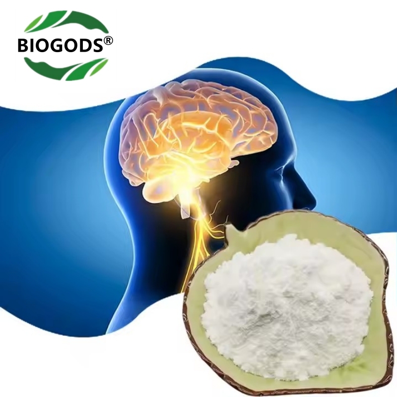 100% β-NAD+ Booster Powder Food Grade Supplement for Anti Aging and Cell Regeneration,Supports Cellular Energy, Brain, Muscle ,Longevity Support | Nicotinamide Adenine Dinucleotide