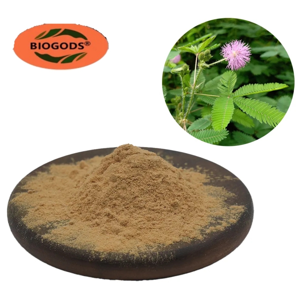 100% Natural Mimosa Hostilis Extract Powder 20:1 - Factory Supply High Quality Organic Plant Extract Mimosa Root Bark Powder Mimosa Extract Powder