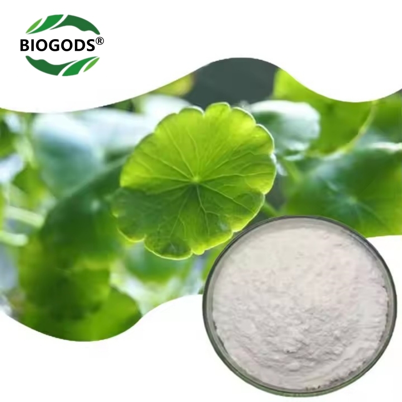 100% Gotu Kola Centella Asiatica Extract Powder 20:1,Brahmi Brain Supplement,Support Cognitive Function,Supports Mental Clarity and Calmness,Memory andFocus