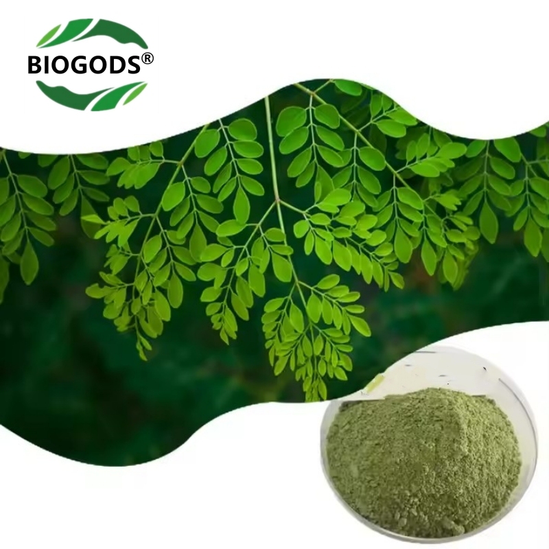 100% Moringa Oleifera Leaf  Extract Powder,Rich in Antioxidants and Immune Vitamin, Improving sub-health and extending lifespan,Great Superfoods for Moringa Tea, Moringa Drink