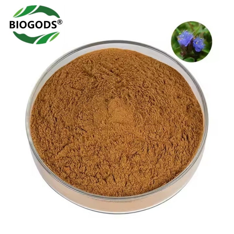 100% Natural Cyanotis Arachnoide Extract Powder,10% Beta Ecdysterone Supplements for Lean Muscle Mass, Athletic Performance & Strength
