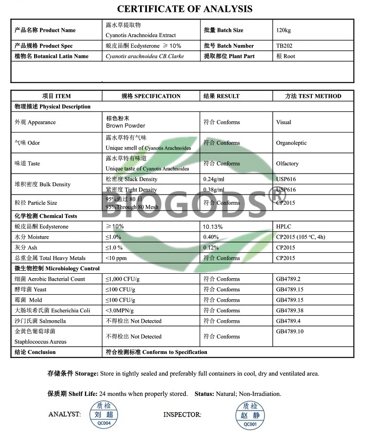 100% Natural Cyanotis Arachnoide Extract Powder,10% Beta Ecdysterone Supplements for Lean Muscle Mass, Athletic Performance & Strength