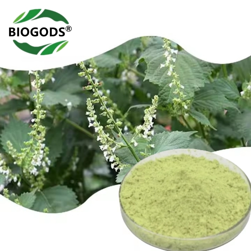 100% Luteolin Powder, Premium Antioxidant Supplement for Brain,Immune & Overall Well-Being