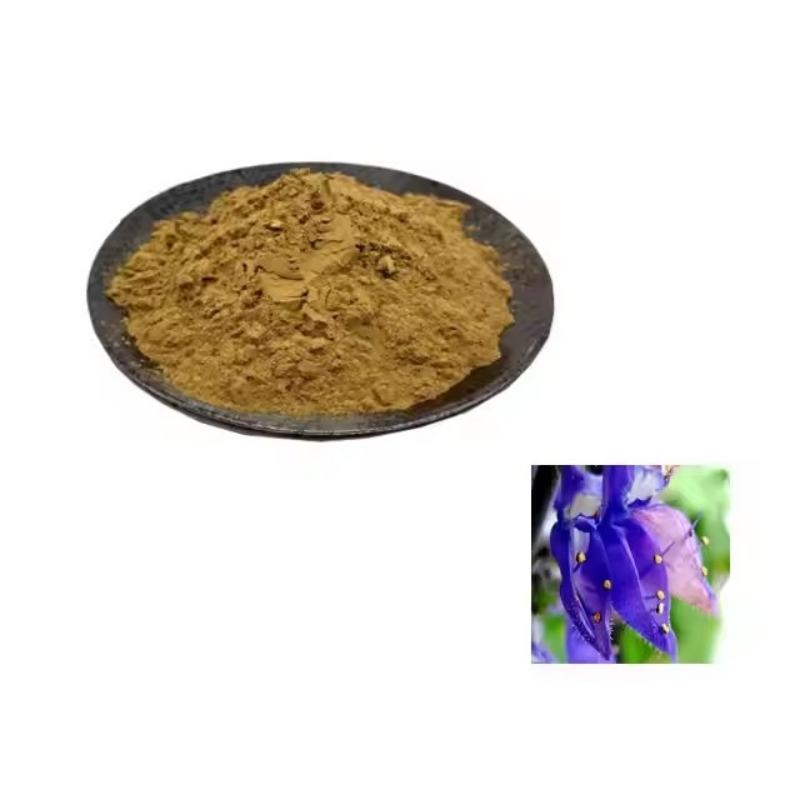 100% Coleus forskohlii Extract Powder, Forskolin for Weight Management for Men & Women