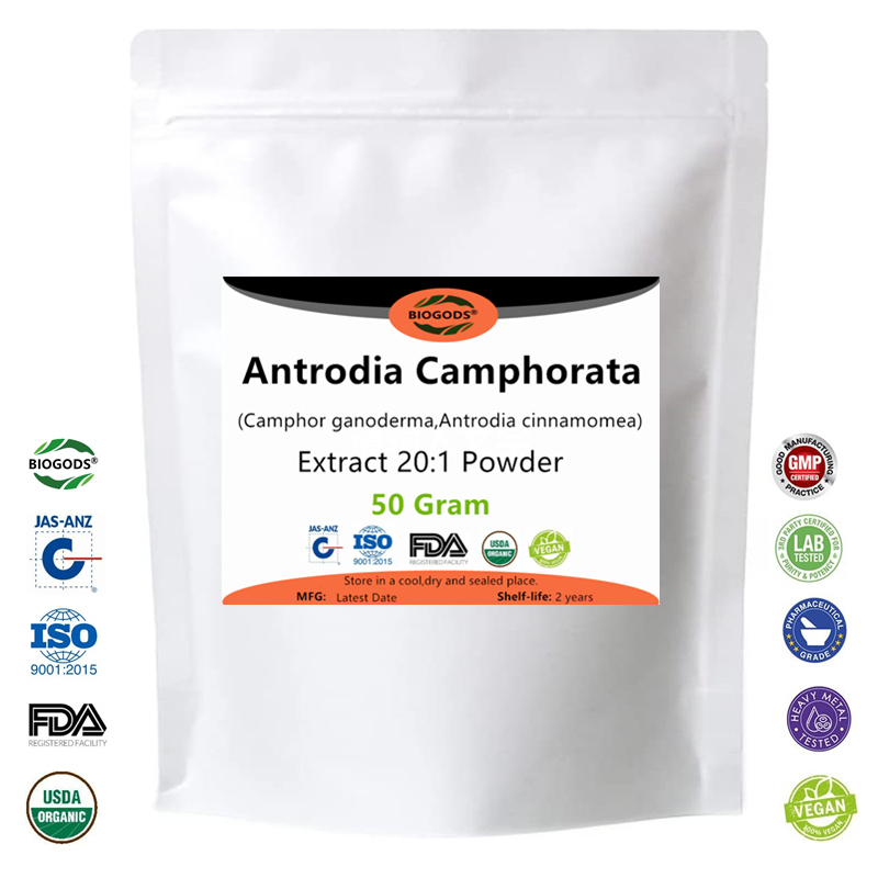 100% Antrodia cinnamomea Extract Powder, Anti cancer and Anti tumor Activity‌,Immunity booster,Anti fatigue and Energy Enhancement‌,Niu Zhang Zhi