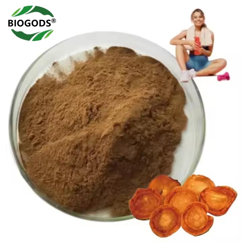 100% Antrodia cinnamomea Extract Powder, Anti cancer and Anti tumor Activity‌,Immunity booster,Anti fatigue and Energy Enhancement‌,Niu Zhang Zhi