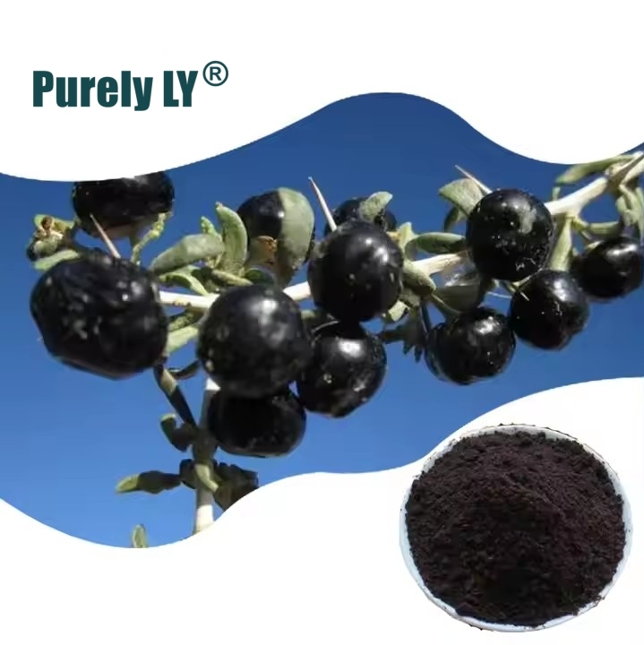 Factory Supply Food Grade Black Wolfberry Fruit Powder Black Wolfberry Anthocyanin 25% Black Goji Berry Extract Powder