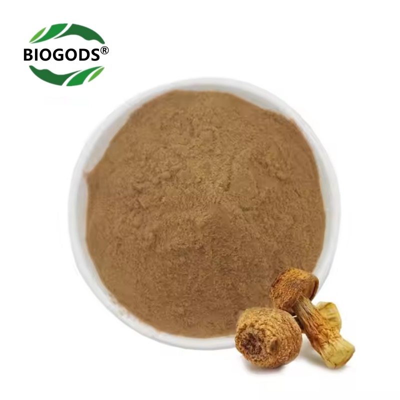 High Quality Agaricus Blazei 30% Polysaccharide Extract Powder,Immune System Enhancement‌,Anti-cancer and Anti-tumor Activity,Blood Sugar Regulation