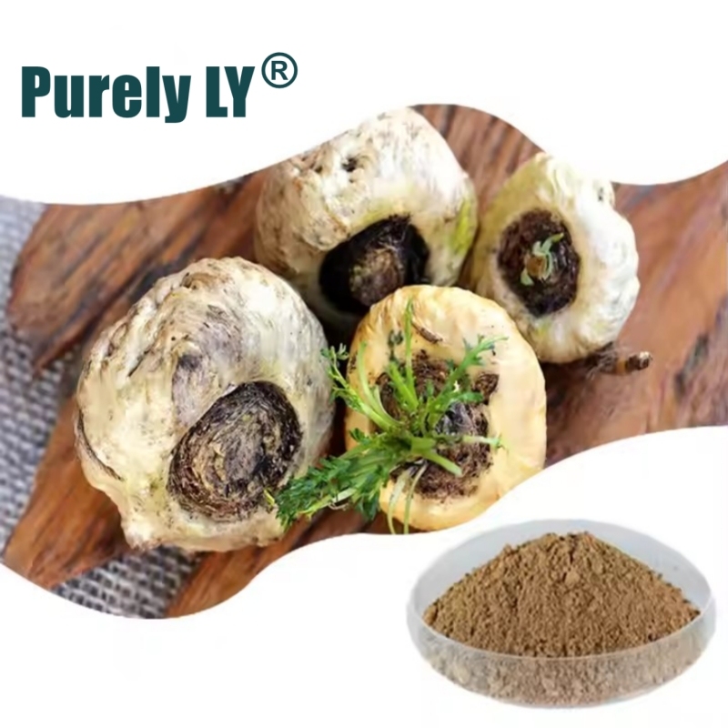 High Quality Organic Maca Extract Powder,Energy, Stamina & Mood Enhancement,Natural Adaptogenic Supplements,Sexual Health & Libido Enhancement,Reduces Fatigue,Boosts Mood