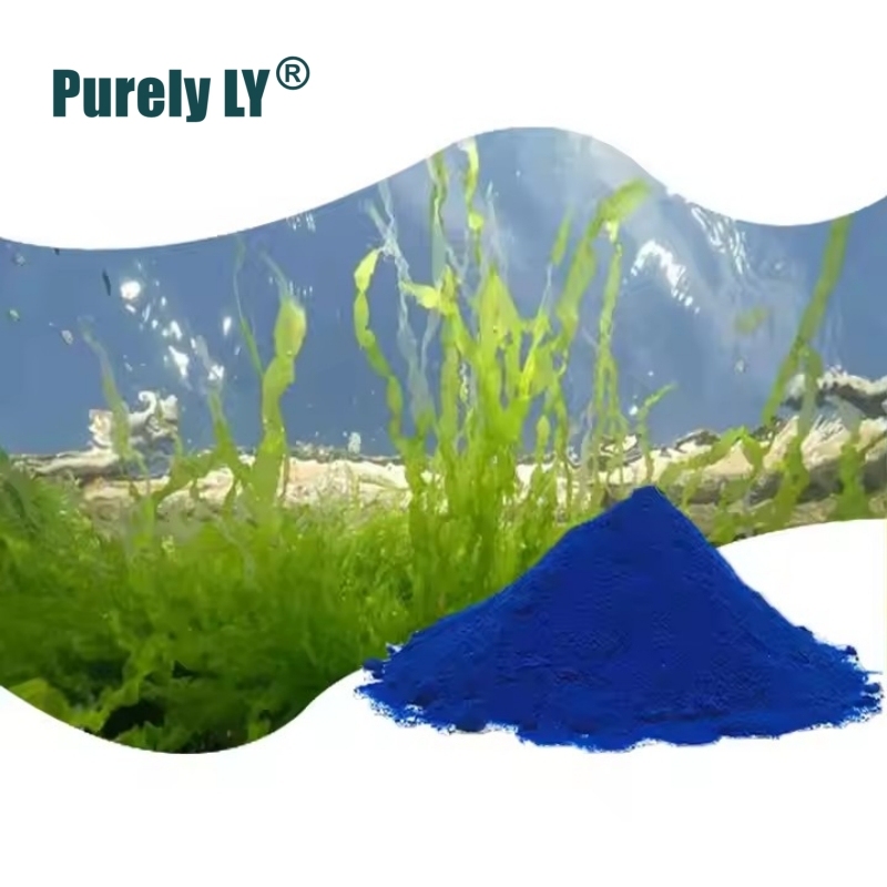 100% Blue Spirulina Extract Phycocyanin Powder,Antioxidant, Anticancer,Promoting blood cell regeneration,Nourishing ovaries,Promoting the synthesis of elastin
