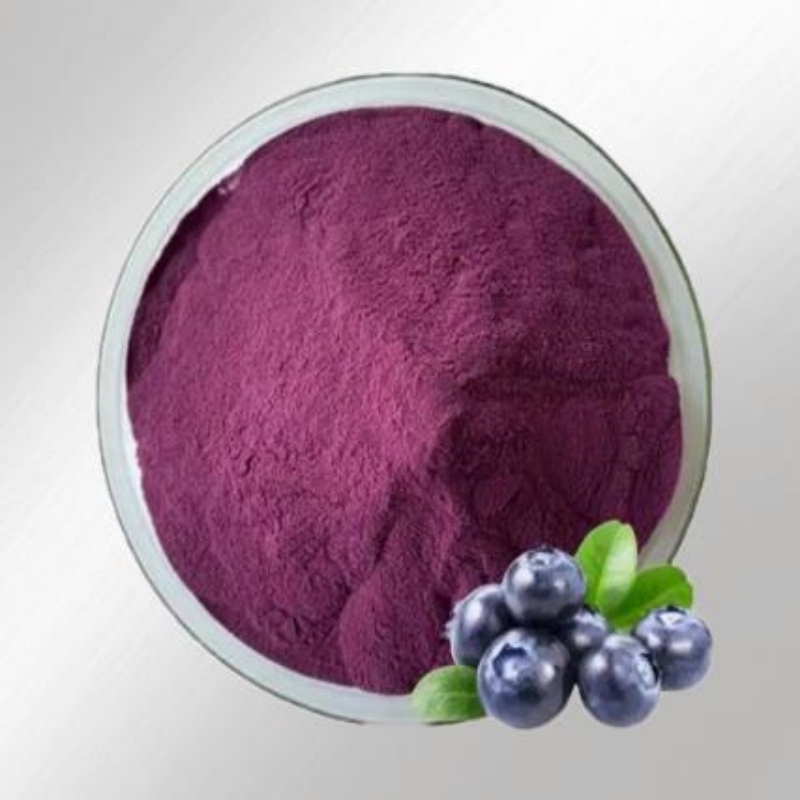 100% Premium Blueberry Extract Powder | High Anthocyanin Antioxidant Supplement | Natural Eye Care, Immune Support & Cellular Protection for Daily Health