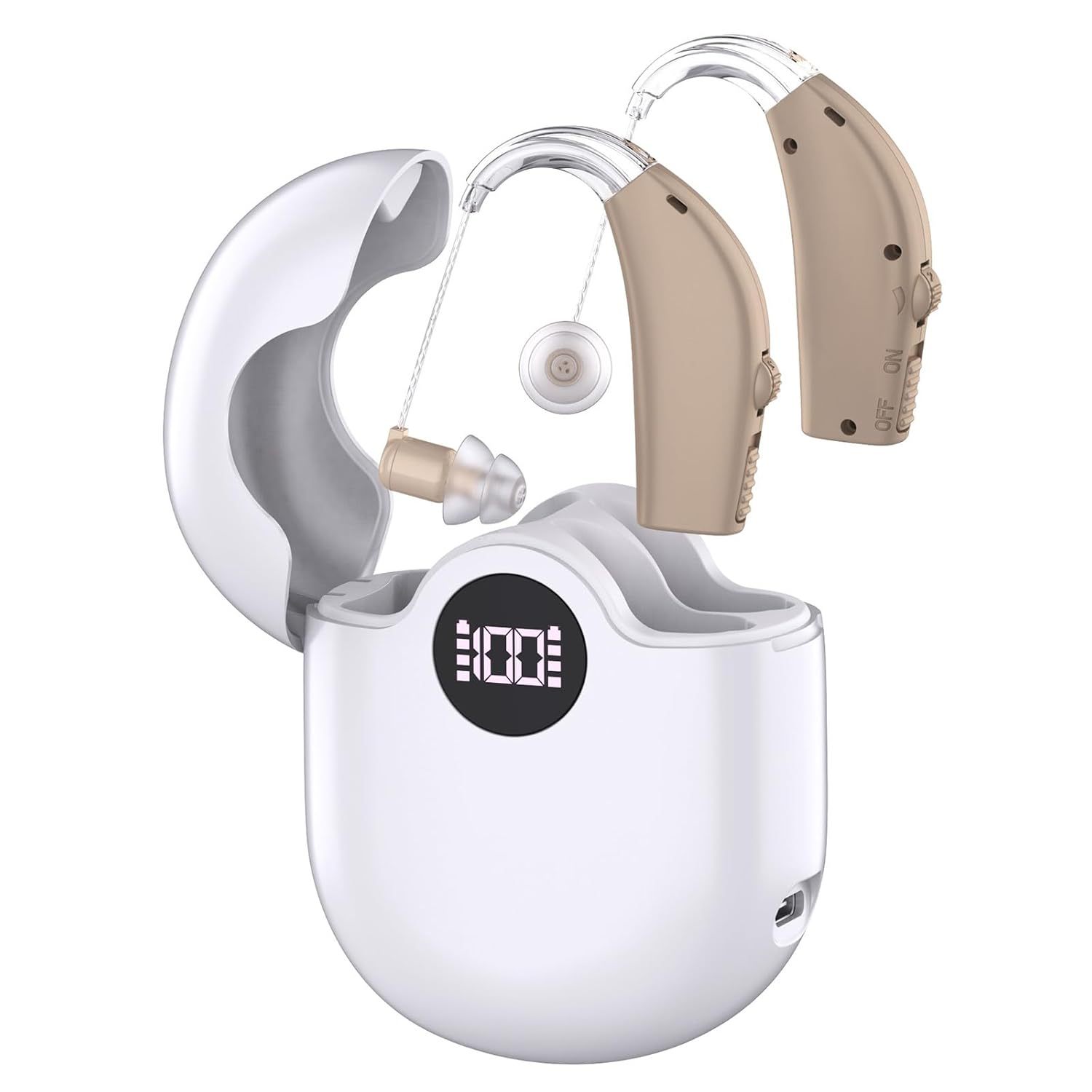 Hearing Aids with Noise Cancelling