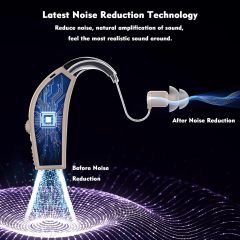 Hearing Aids with Noise Cancelling