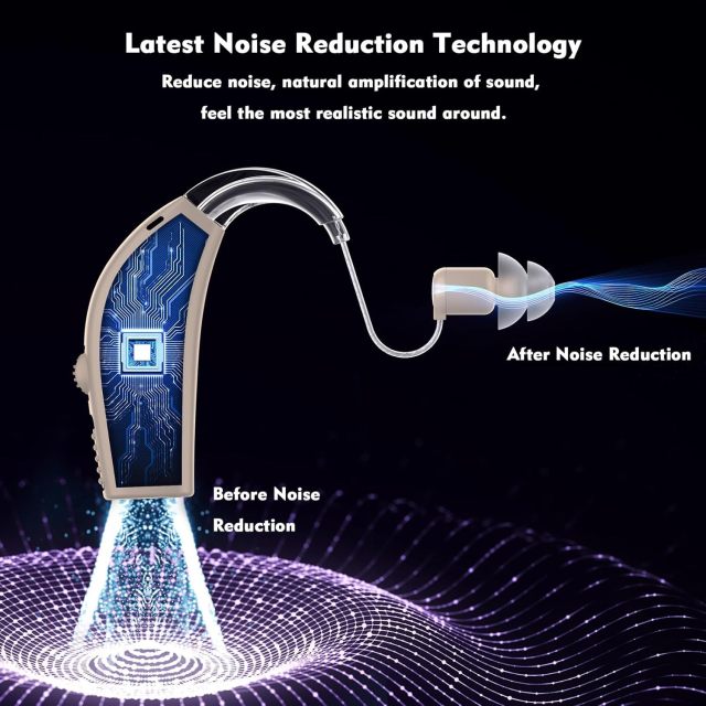 Hearing Aids with Noise Cancelling