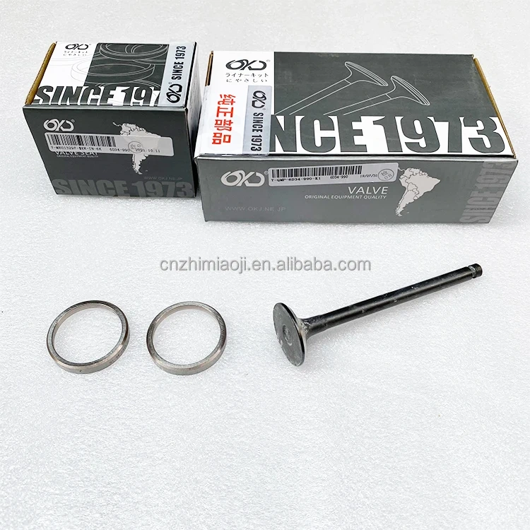4D30 4D31 6D31 6DS7 Engine Parts Engine Parts ME029106 ME029296 ME029297 ME013188 Valve Seat for Mitsubishi,Pangolin Parts
