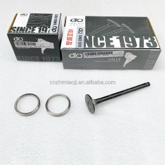 4D30 4D31 6D31 6DS7 Engine Parts Engine Parts ME029106 ME029296 ME029297 ME013188 Valve Seat for Mitsubishi,Pangolin Parts