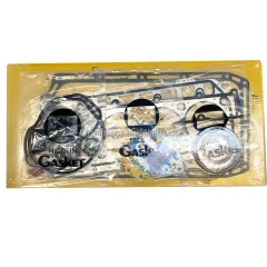 4TNV94 4TNV98 4TNE94 4TNE98 4TNV106 4TNE106 Engine Rebuilt Kit for Yanmar,Pangolin Parts