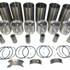 4 Cylinder W04D WDT Engine STD Overhaul Rebuild Kit for Hino,Pangolin Parts
