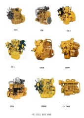 CSJHPSS  Original New  Diesel Engine V1803 V2200 V2203 V2607 V3800 V4702 V3300 V2403 for Generators Forklifts Tractor,Pangolin Parts