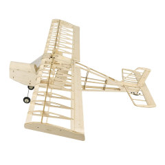Dancing Wings - T09 EP 750mm Aeromax KIT