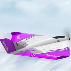 Radiolink Turbot D460 RC Airplane with Flight Controller Assist Balance 8 Channels Radio Controller T8S