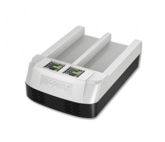EV-Peak DY1 Typhoon Q500 Dual Battery Charger