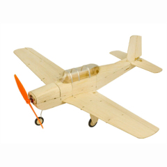 Dancing Wings  K7 Micro Newton RC Airplane