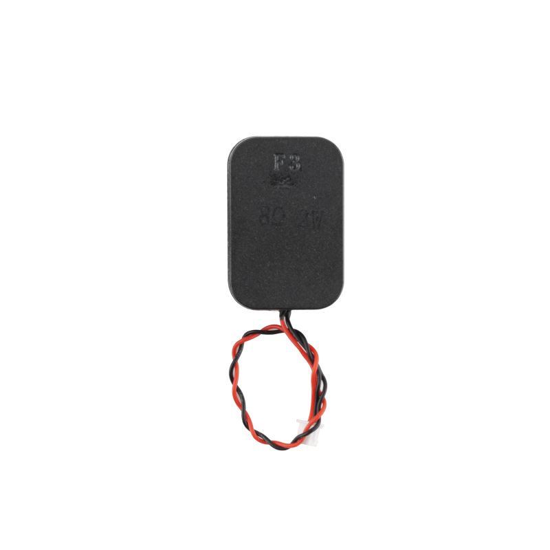 RadioMaster AX12 Radio Speaker