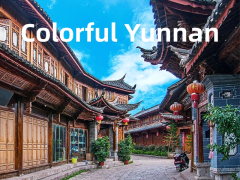 [Pure Yunnan]Yunnan - Kunming Stone Forest / Dali Erhai Lake / Lijiang Yulong Snow Mountain 6 days 5 nights special tour
