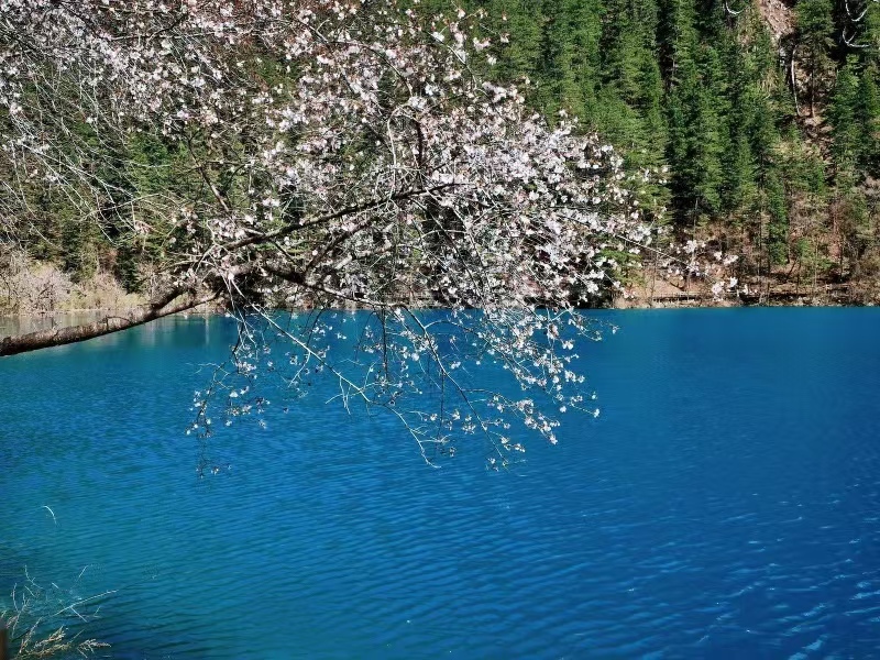 5 days and 4 nights of deep travel to Jiuzhaigou--HuangLong