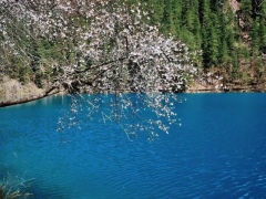 5 days and 4 nights of deep travel to Jiuzhaigou--HuangLong