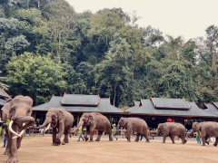 Encounter Xishuangbanna, Yunnan-Kunming / Xishuangbanna 6 days 5 nights low-cost tour