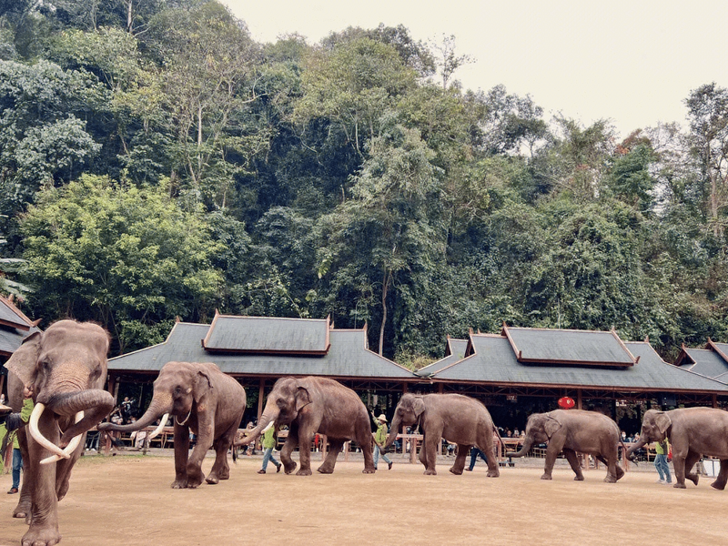 Encounter Xishuangbanna, Yunnan-Kunming / Xishuangbanna 6 days 5 nights low-cost tour