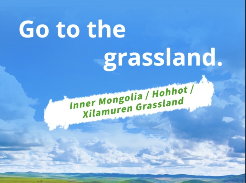Inner Mongolia 5 days 4 nights grassland tourism vacation