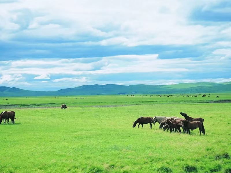Inner Mongolia 5 days 4 nights grassland tourism vacation