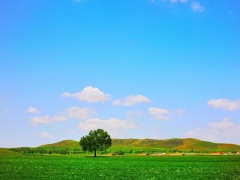Inner Mongolia 5 days 4 nights grassland tourism vacation