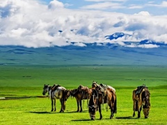 Inner Mongolia 5 days 4 nights grassland tourism vacation