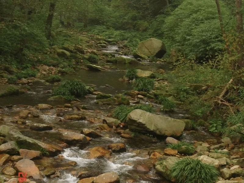 Zhangjiajie 5 days 4 nights natural tourist attractions