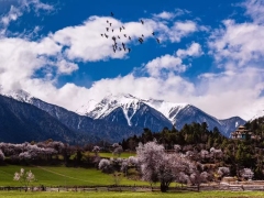 Holy Land Tour Tibet 7-day in-depth travel