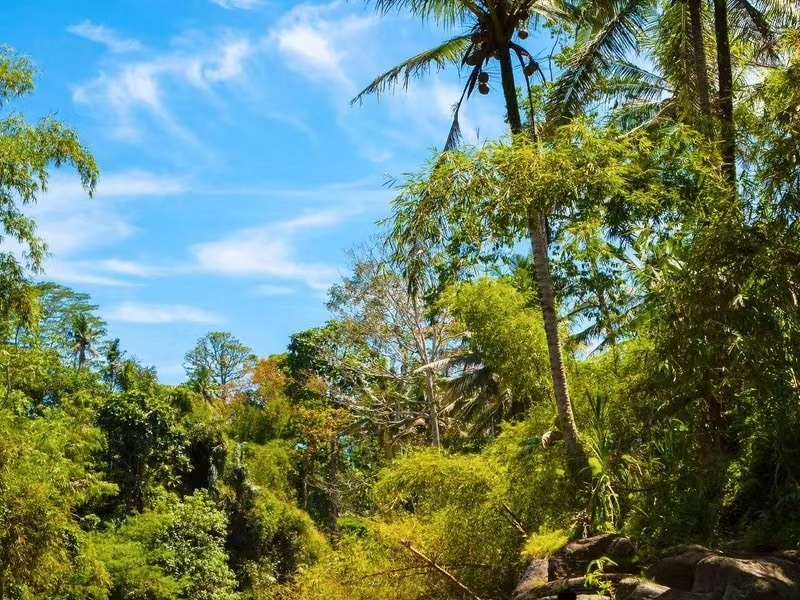 Romantic Bali Island 7 days 6 nights tour