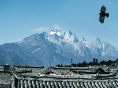 8 days 7 nights Shangri-La tour