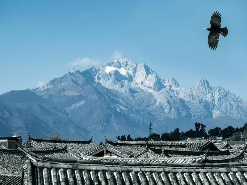 8 days 7 nights Shangri-La tour