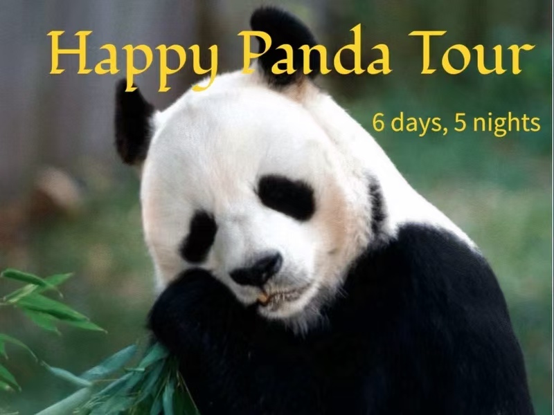 Happy Giant Panda Tour 6 days 5 nights