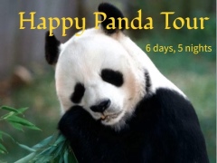 Happy Giant Panda Tour 6 days 5 nights