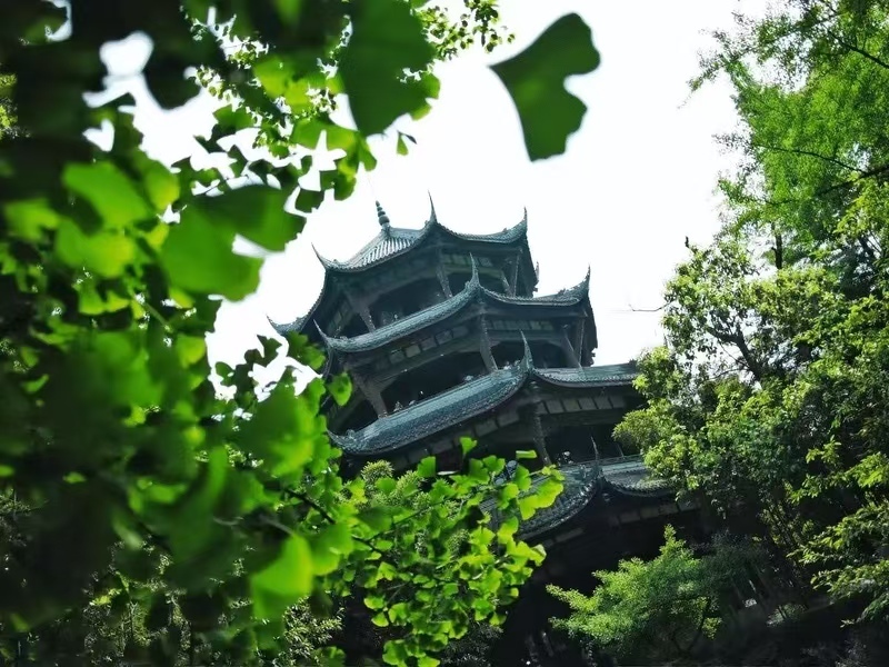 Happy Giant Panda Tour 6 days 5 nights