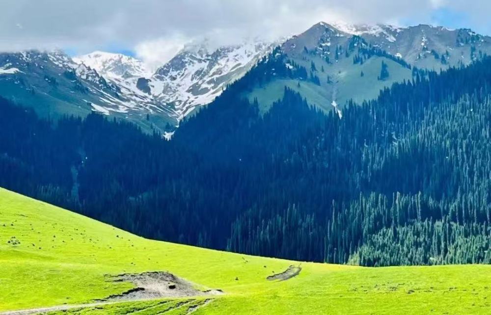 Xinjiang Yili Internet Celebrity Route 7-Person Small Group Tour - Duku Highway/Qiongkushitai/Nalati Aerial Grassland/s101 Baili Danxia/Sailimu Lake Danxia 7-Day Tour