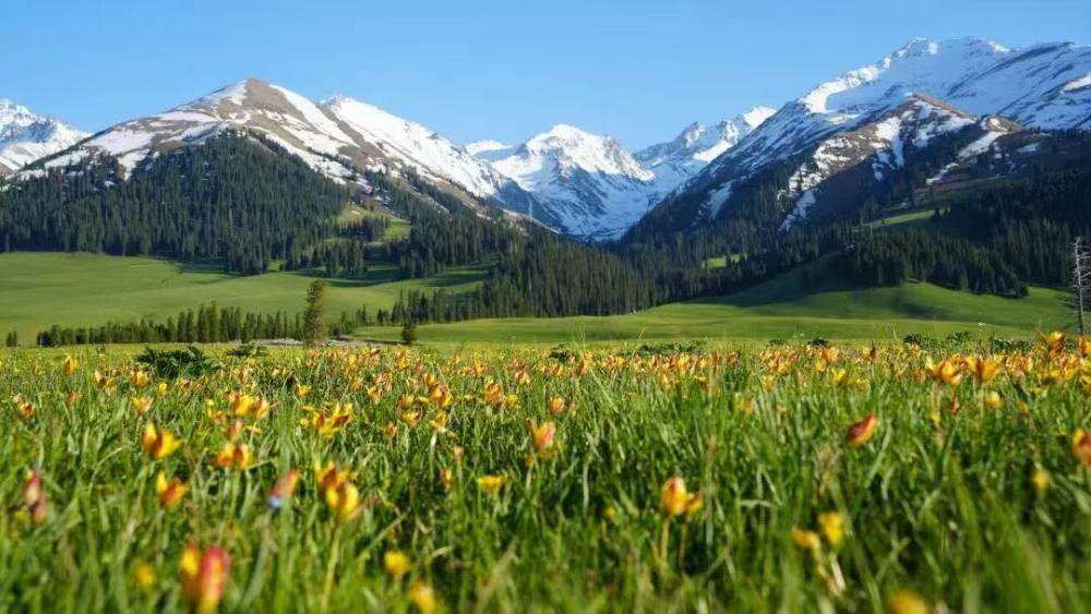 Xinjiang Yili Internet Celebrity Route 7-Person Small Group Tour - Duku Highway/Qiongkushitai/Nalati Aerial Grassland/s101 Baili Danxia/Sailimu Lake Danxia 7-Day Tour