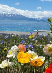 【 Hot Xiaohongshu Xinjiang Route 】 Urumqi Duku Highway Nalatikordin Lavender Lake Selimu Tianshan Tianchi Turpan 8 days 7 nights
